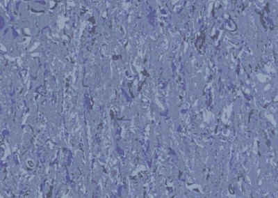 cosmo 2636
